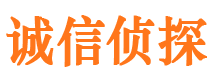 九龙坡市侦探公司